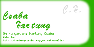 csaba hartung business card